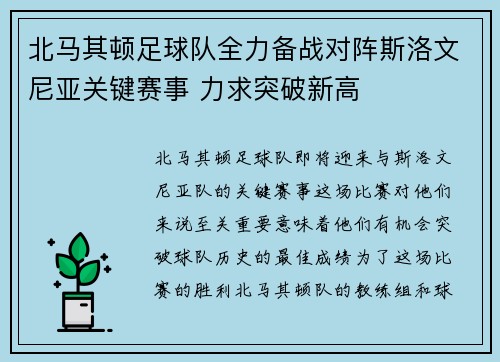 北马其顿足球队全力备战对阵斯洛文尼亚关键赛事 力求突破新高