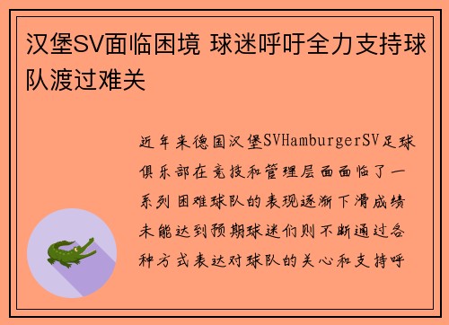 汉堡SV面临困境 球迷呼吁全力支持球队渡过难关