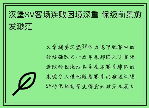汉堡SV客场连败困境深重 保级前景愈发渺茫